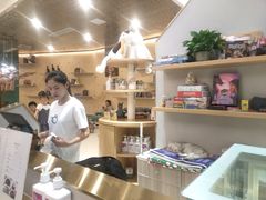 -飞行喵MR PILOT|猫舍·猫咖(静安大融城店)