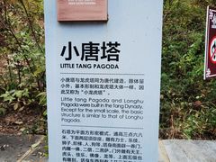 -四门塔风景区