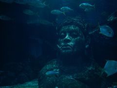 -暹罗海洋世界