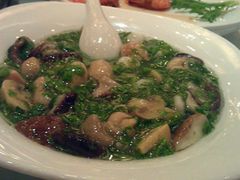 荠菜虾仁双菇-红城阁·上海味道(四平路店)