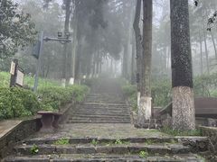 -莫干山风景区