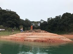 -广州市流溪河国家森林公园