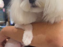 -FAELING PETS美天灵宠物(富力广场店)