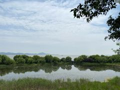 -上海市保健医疗中心