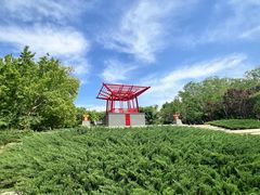-大望京公园