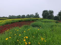 -梁鸿国家湿地公园