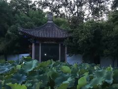 -莲湖公园