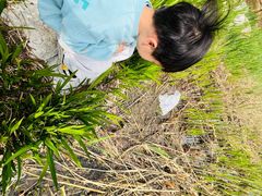 -燕郊植物园