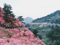 -木兰云雾山