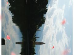 -三塔倒影公园