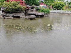 -武汉园博园(武汉自然博物馆)