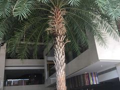 -佰园全日西餐厅-厦门佰翔软件园酒店