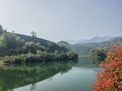 -龙坞茶村