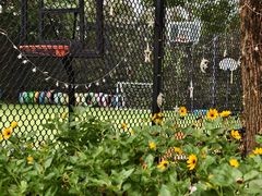 -玛利娅蒙特梭利双语幼儿园·托育(百家湖直营园)