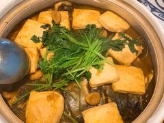 鸿运天目湖鱼头-香阁餐厅·常州菜·常州菜代表品牌(新北奥体店)