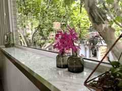 -蝶舍·MAISON PAPILLON