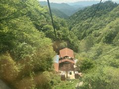 -王顺山国家森林公园