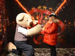 -济州岛泰迪熊博物馆