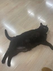 -竹马造型工作室