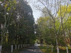 -凤凰沟景区