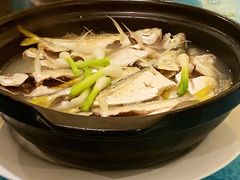 -御唐府海珊瑚主题餐厅