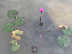 -青瓦房古村落