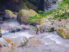-西岭雪山大飞水景区