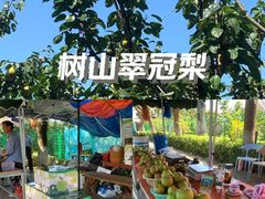 -树山生态村