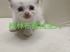 -万达广场(桂林高新店)