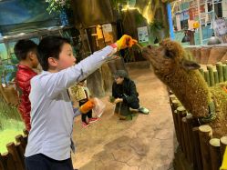 点击看大图 -宝燕乐园(闵行旗舰店)