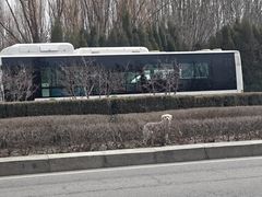 -赛汗塔拉风情园