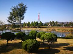 -羊亭河湿地公园