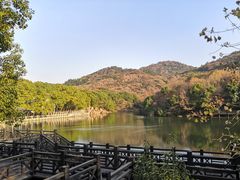 -白马涧龙池景区