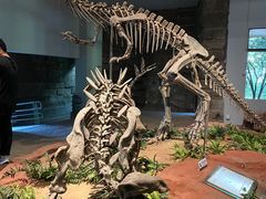 -自贡恐龙博物馆