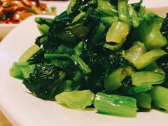 农家菜园万年青-深山老屋(国顺东路店)