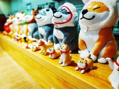 -柴务处·柴犬主题狗咖