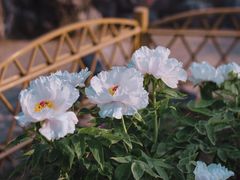 -玄武湖景区-情侣园游乐场