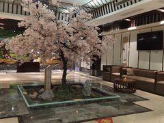 -添赐温泉馆(上南路店)