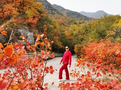 -北京鹫峰国家森林公园