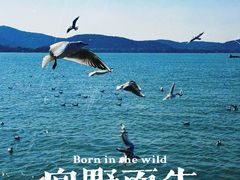 -蠡湖大桥公园