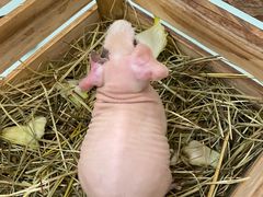 -海珠新都荟城光荟(海珠店)