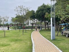 -野狸岛