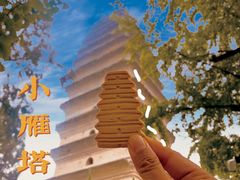 -陕拾叁-西安糕点(大雁塔店)