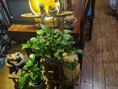 -净耳阁采耳文化体验馆(华强北店)