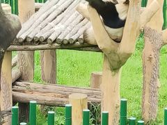 -沈阳森林动物园