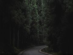 -山王坪喀斯特国家生态公园