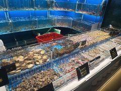 -九月海·海鲜自助(世纪东方店)