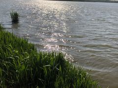 -西青郊野公园