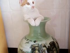 -美联众合24小时·皮肤科·外科·全科诊疗中心(华苑分院)