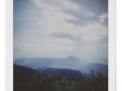-武陵山森林公园